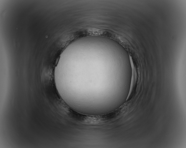 X0000087670713200705041010