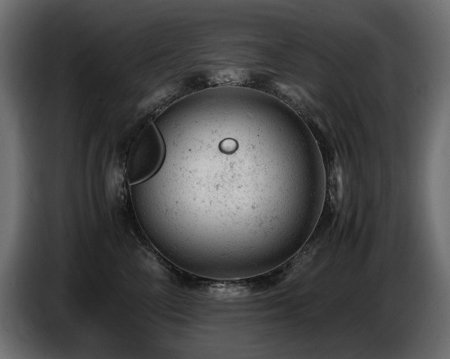 X0000087670714200705041010