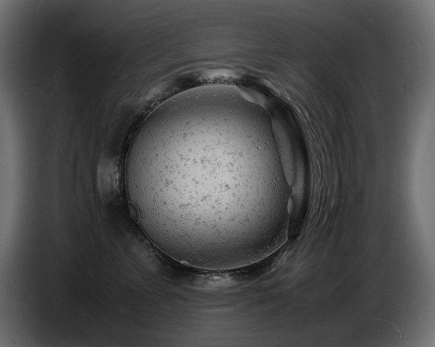 X0000087670715200705041010