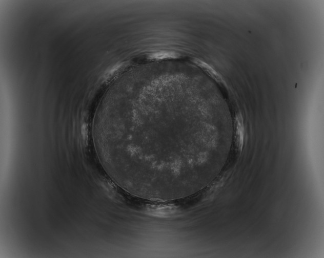 X0000087670716200705041010