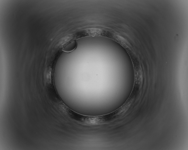 X0000087670717200705041010