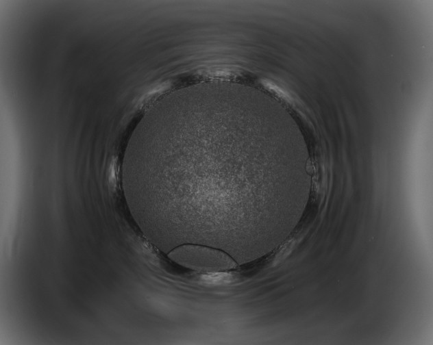 X0000087670718200705041010