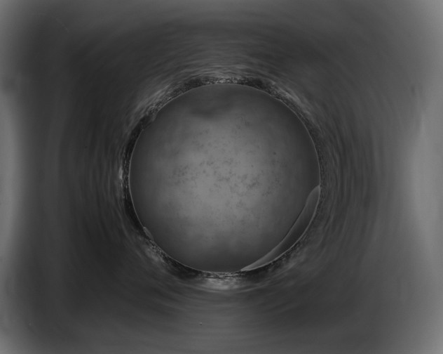 X0000087670720200705041010