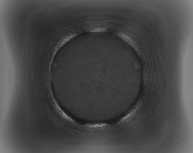 X0000087670721200705041010