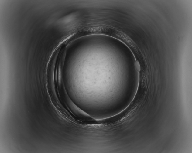 X0000087670722200705041010