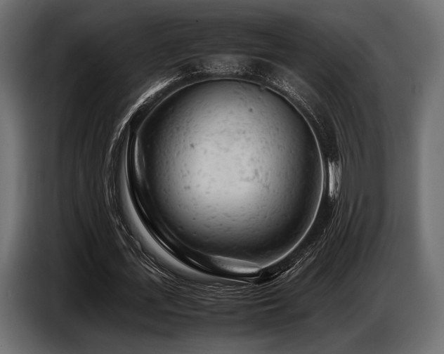 X0000087670723200705041010