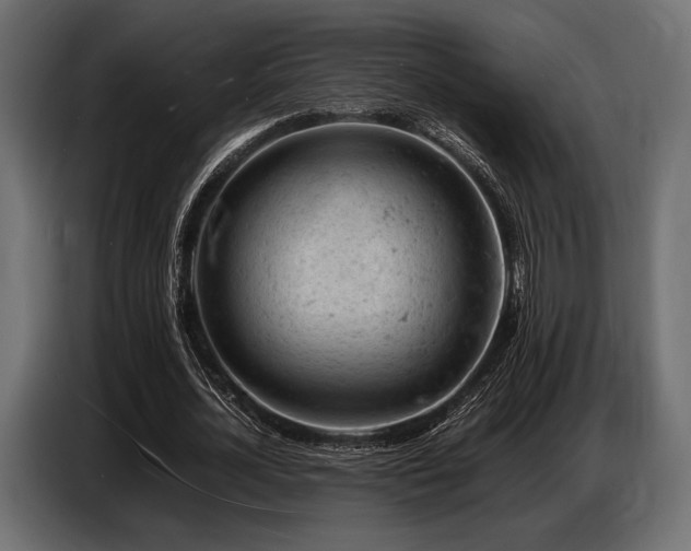 X0000087670724200705041010