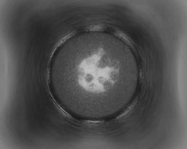 X0000087670725200705041010