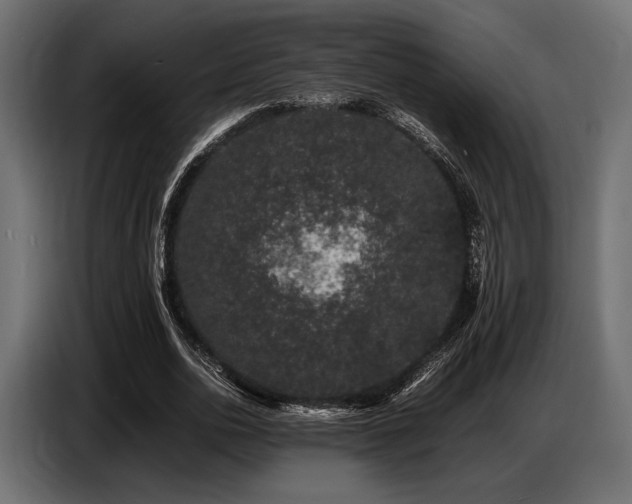 X0000087670726200705041010