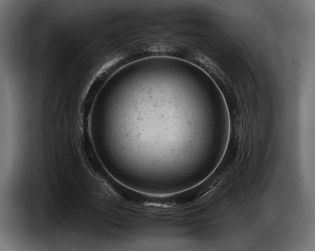 X0000087670727200705041010