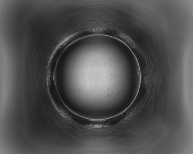 X0000087670728200705041010