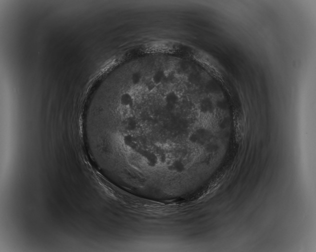 X0000087670729200705041010