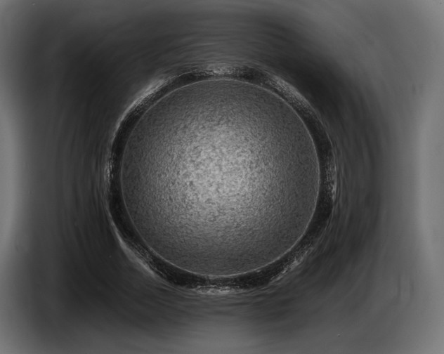 X0000087670730200705041010