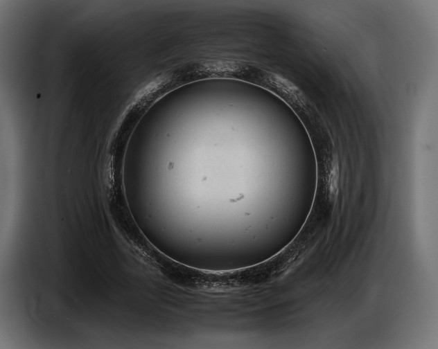 X0000087670731200705041010