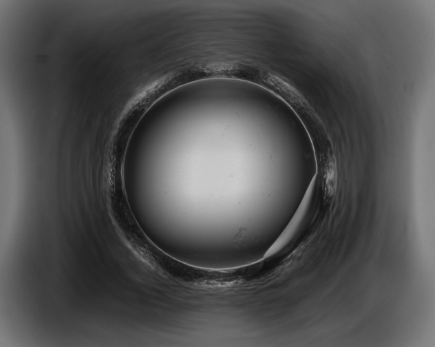 X0000087670732200705041010