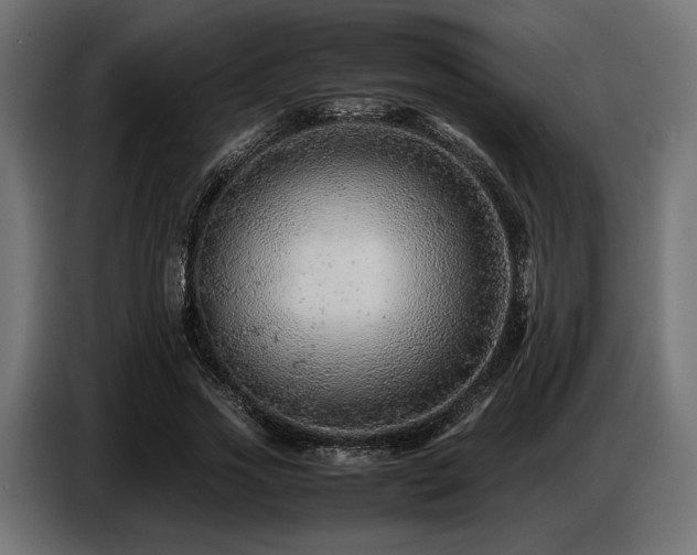 X0000087670733200705041010