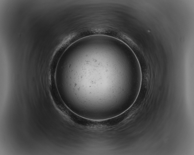 X0000087670734200705041010