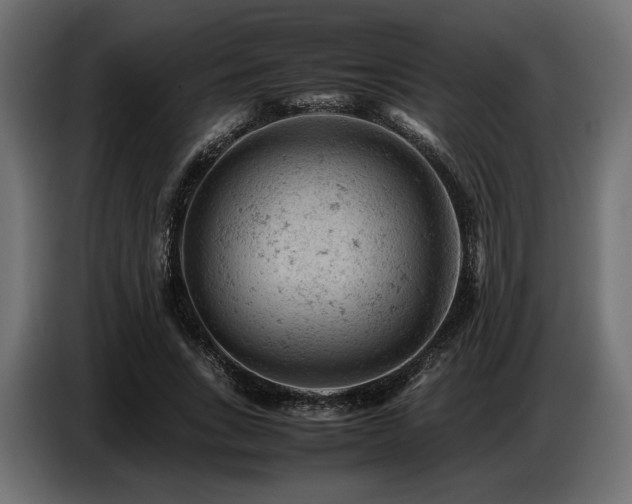 X0000087670735200705041010