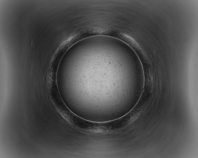 X0000087670736200705041010