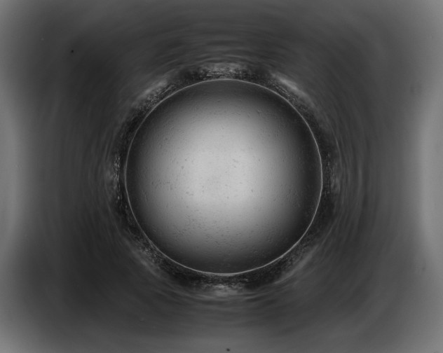 X0000087670737200705041010