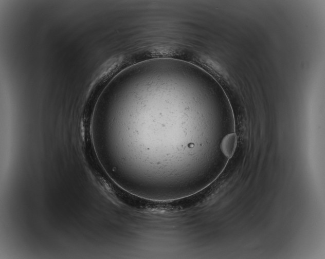 X0000087670738200705041010