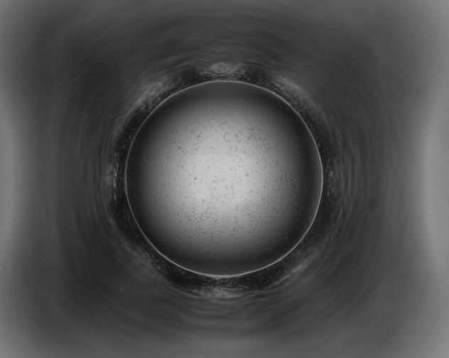 X0000087670739200705041010