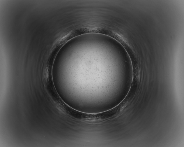 X0000087670740200705041010