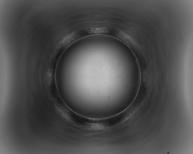 X0000087670741200705041010