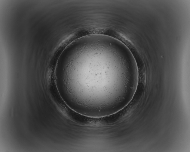 X0000087670742200705041010