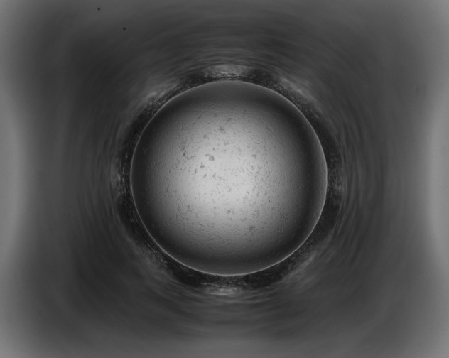 X0000087670743200705041010