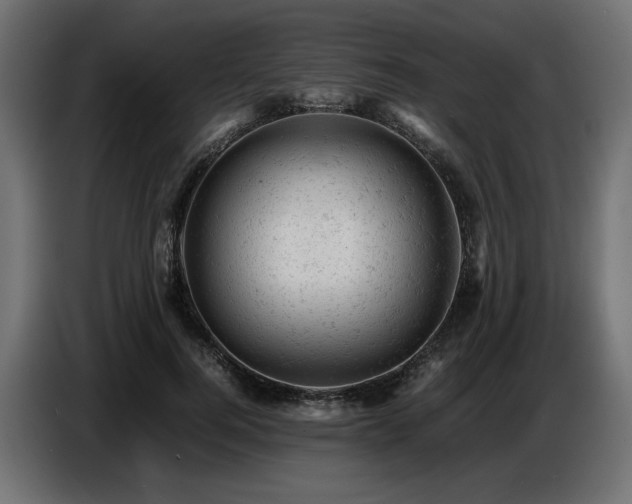 X0000087670744200705041010