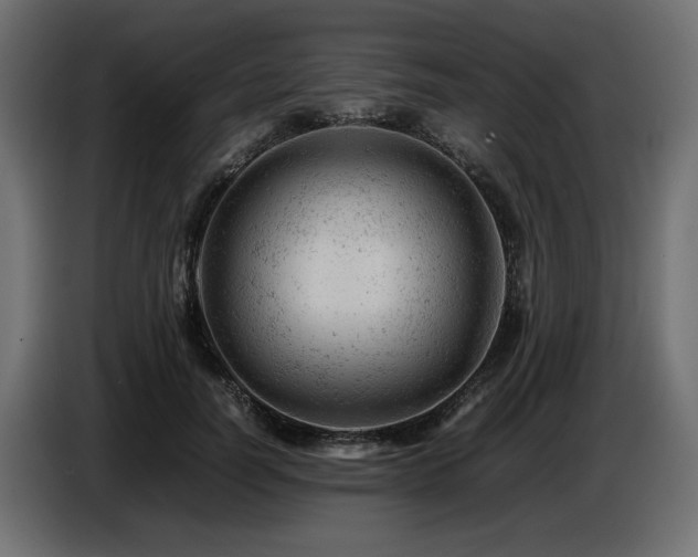 X0000087670746200705041010