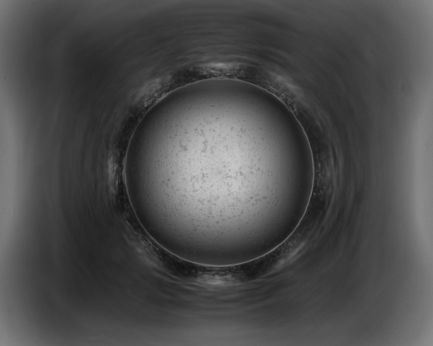 X0000087670749200705041010