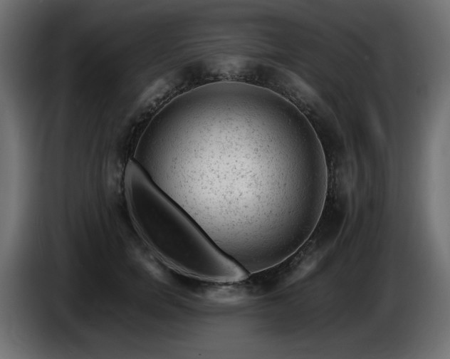 X0000087670750200705041010