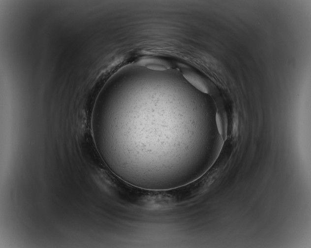 X0000087670752200705041010