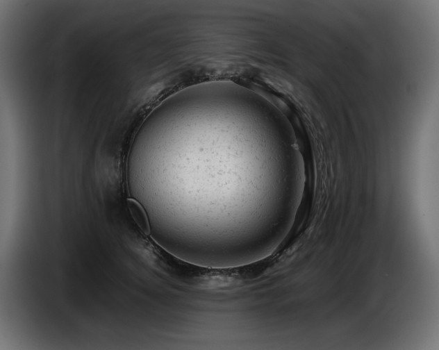 X0000087670756200705041010