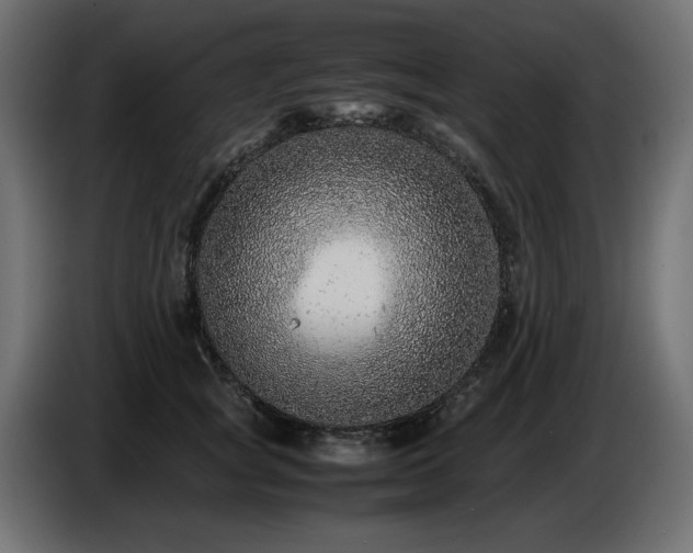 X0000087670757200705041010