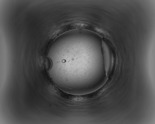 X0000087670759200705041010