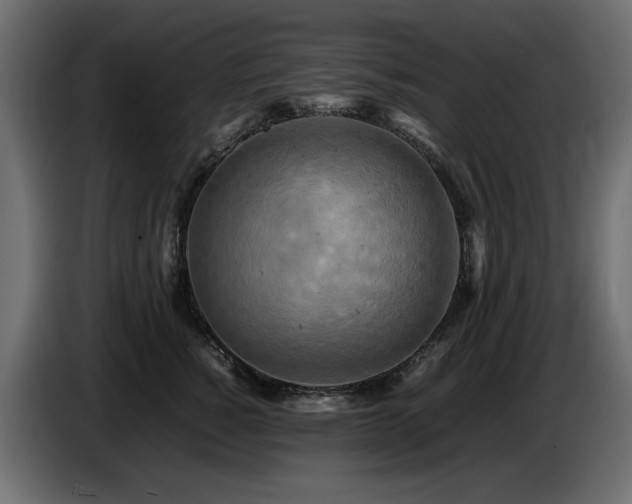 X0000087670760200705041010