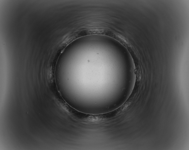 X0000087670764200705041010