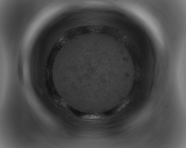 X0000087670765200705041010