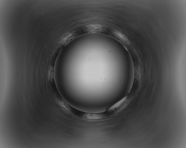 X0000087670766200705041010