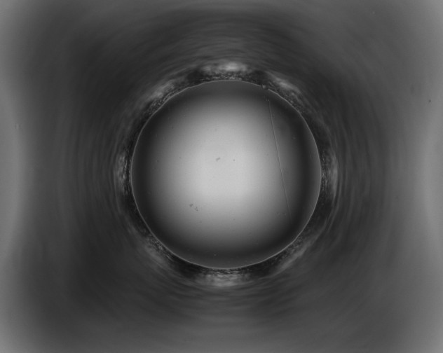 X0000087670767200705041010