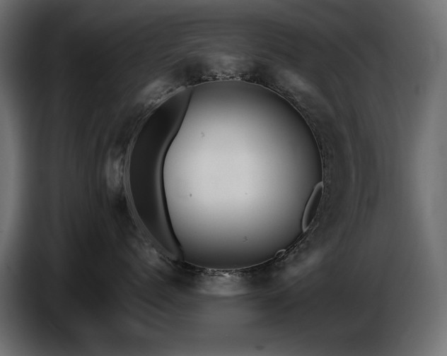 X0000087670768200705041010