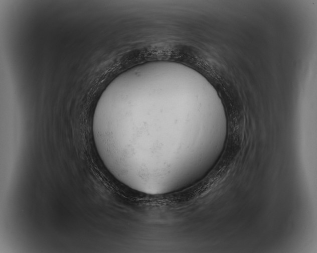 X0000087670769200705041010