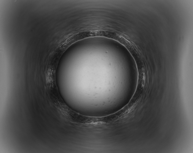 X0000087670770200705041010