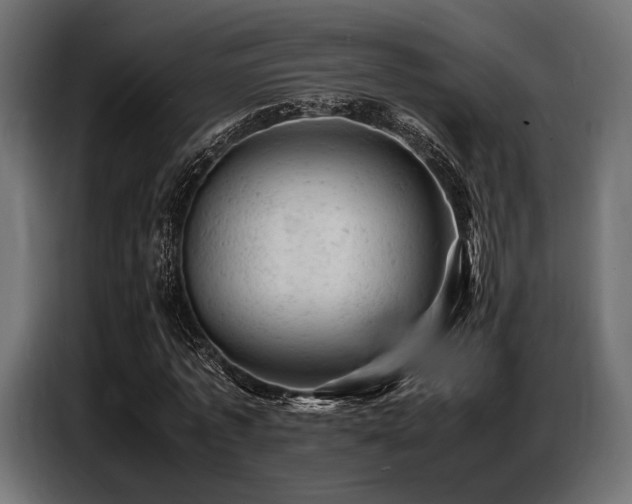 X0000087670773200705041010