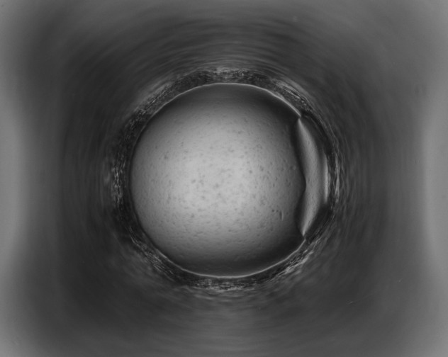 X0000087670774200705041010