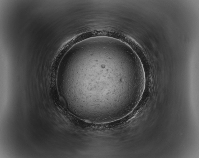 X0000087670775200705041009