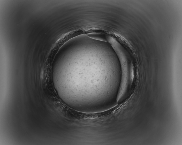 X0000087670776200705041009